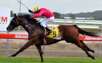 Raymond Spokes and Briefing are teaming up in tomorrow’s Bowraville Cup. Raymond Spokes and Briefing are teaming up in tomorrow’s Bowraville Cup.